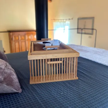 Domus Mirabilis 3* Ancona