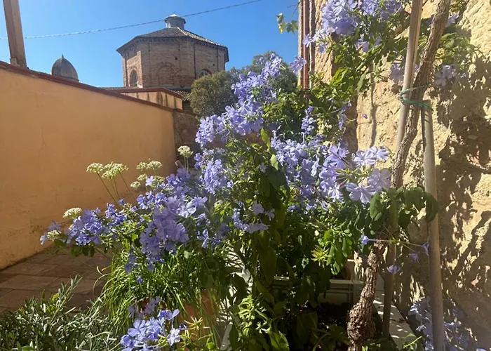 Domus Mirabilis Bed and breakfast Ancona